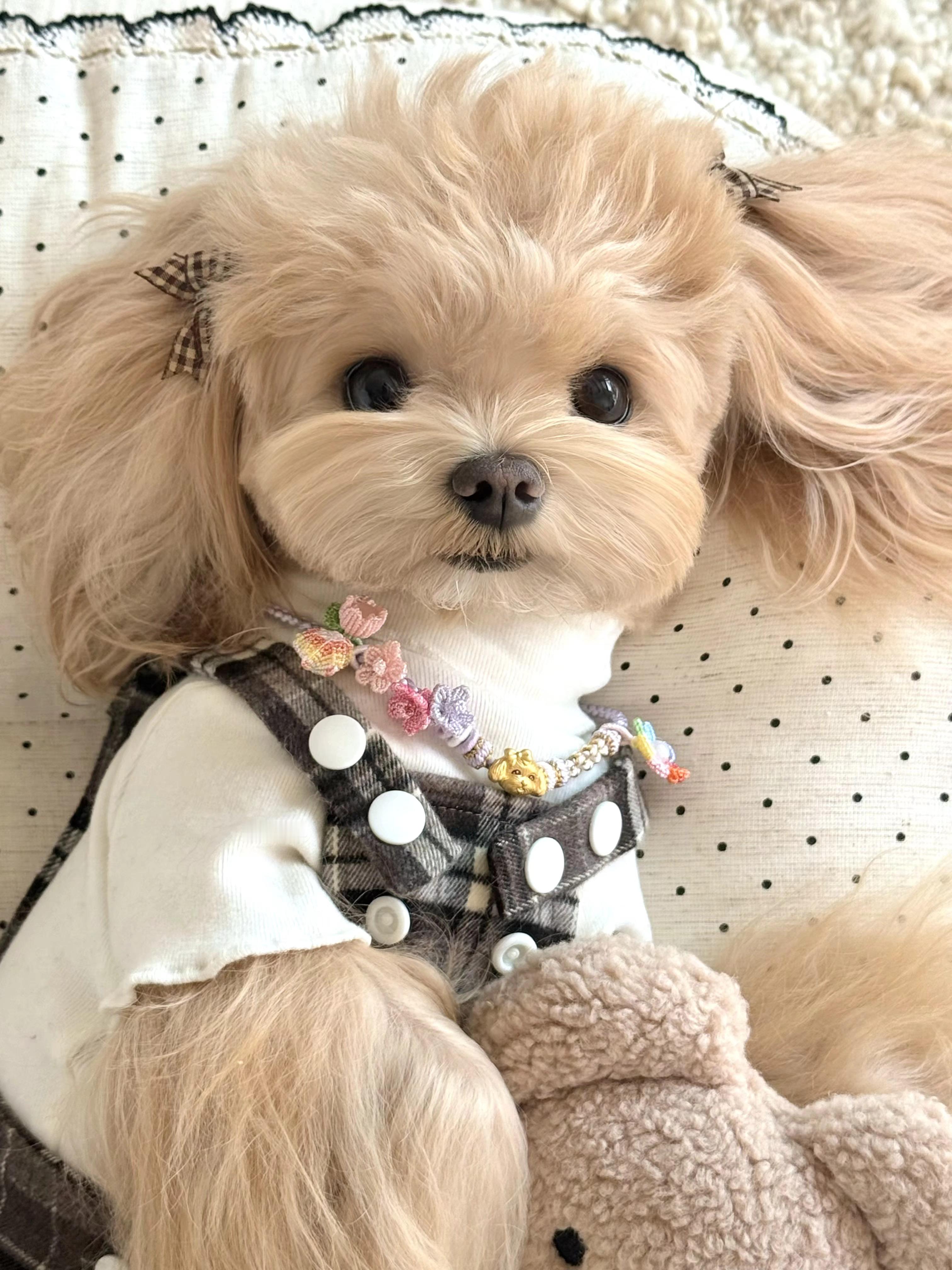 这实在！！！太萌了！！！！ 