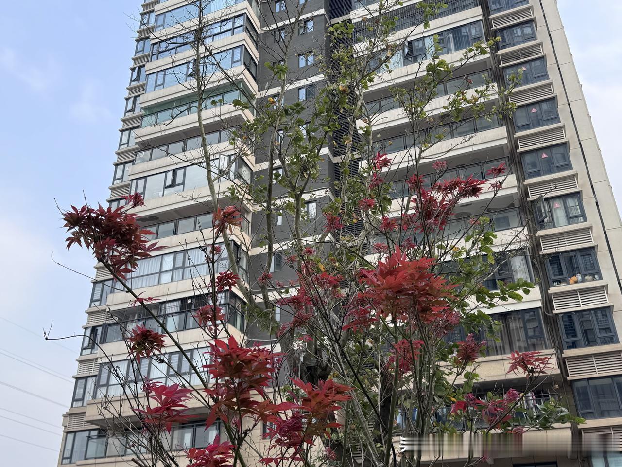 @豆包 帮我点评