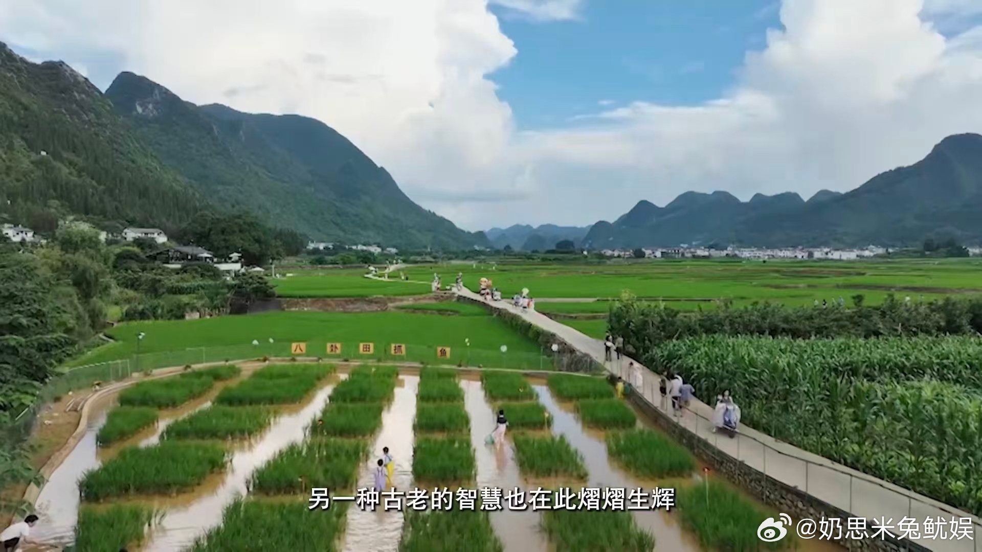 贵州万峰林把鱼儿养进了稻田里寻找最美目的地秘境贵州在田间奔跑抓鱼，满身泥水也不在