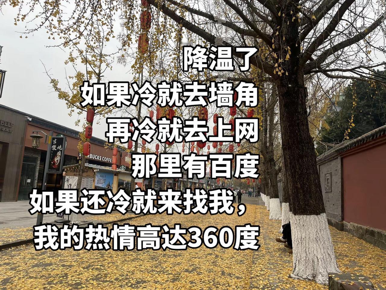 天冷了，都来找我！！