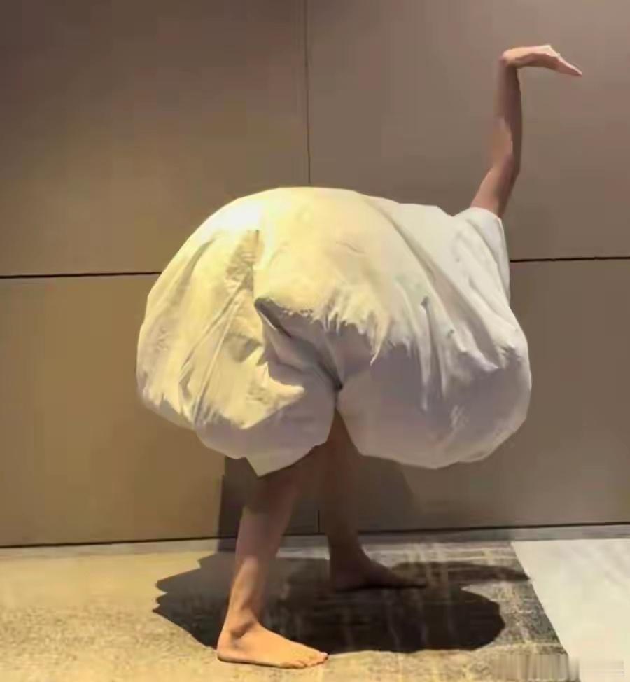 徐艺洋在酒店走廊裹着被单扮鸵鸟，准备给黄子韬来个“致命偷袭”。结果黄子韬看清后，