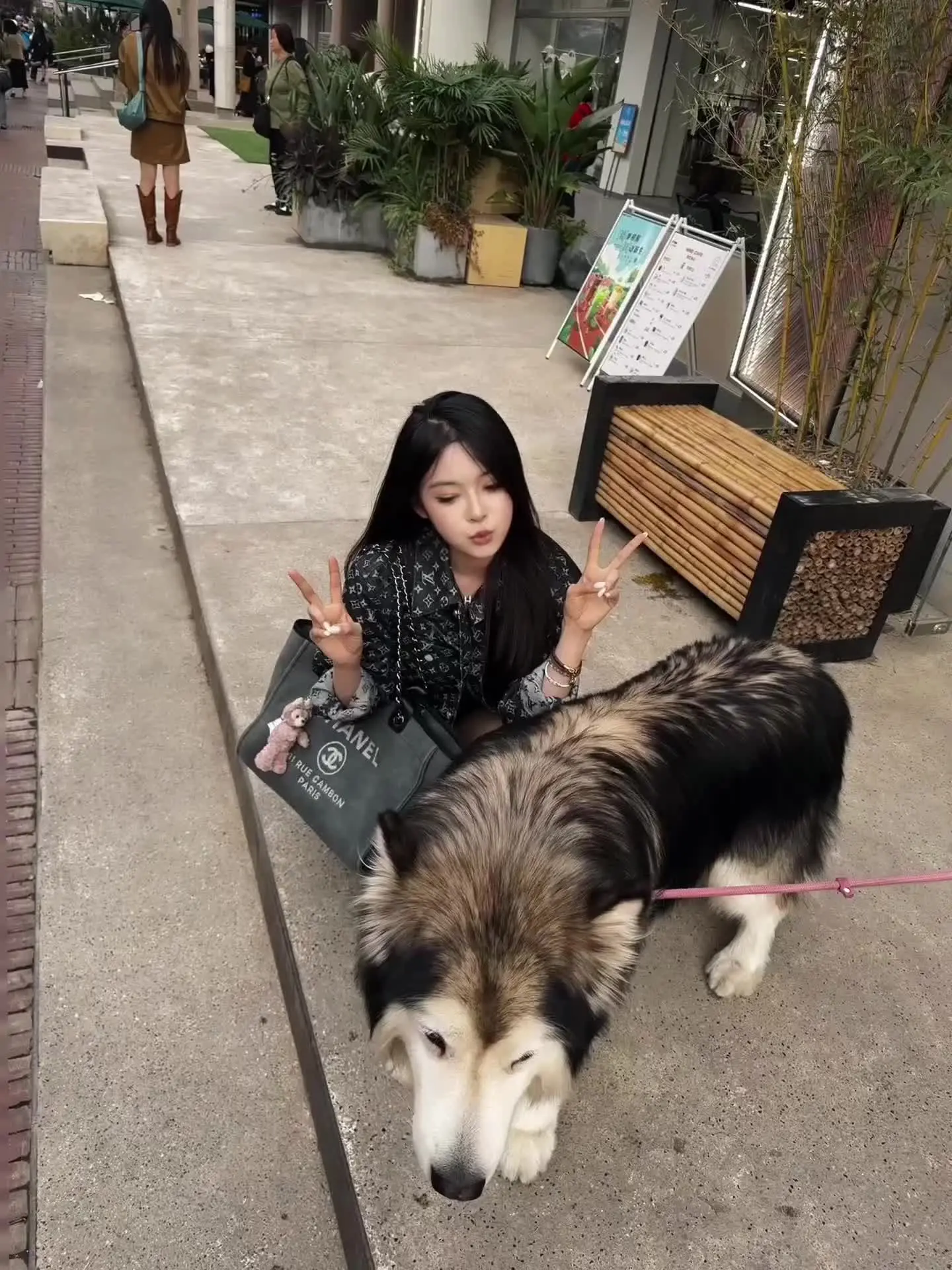 狗狗说“有点火热🔥啦”