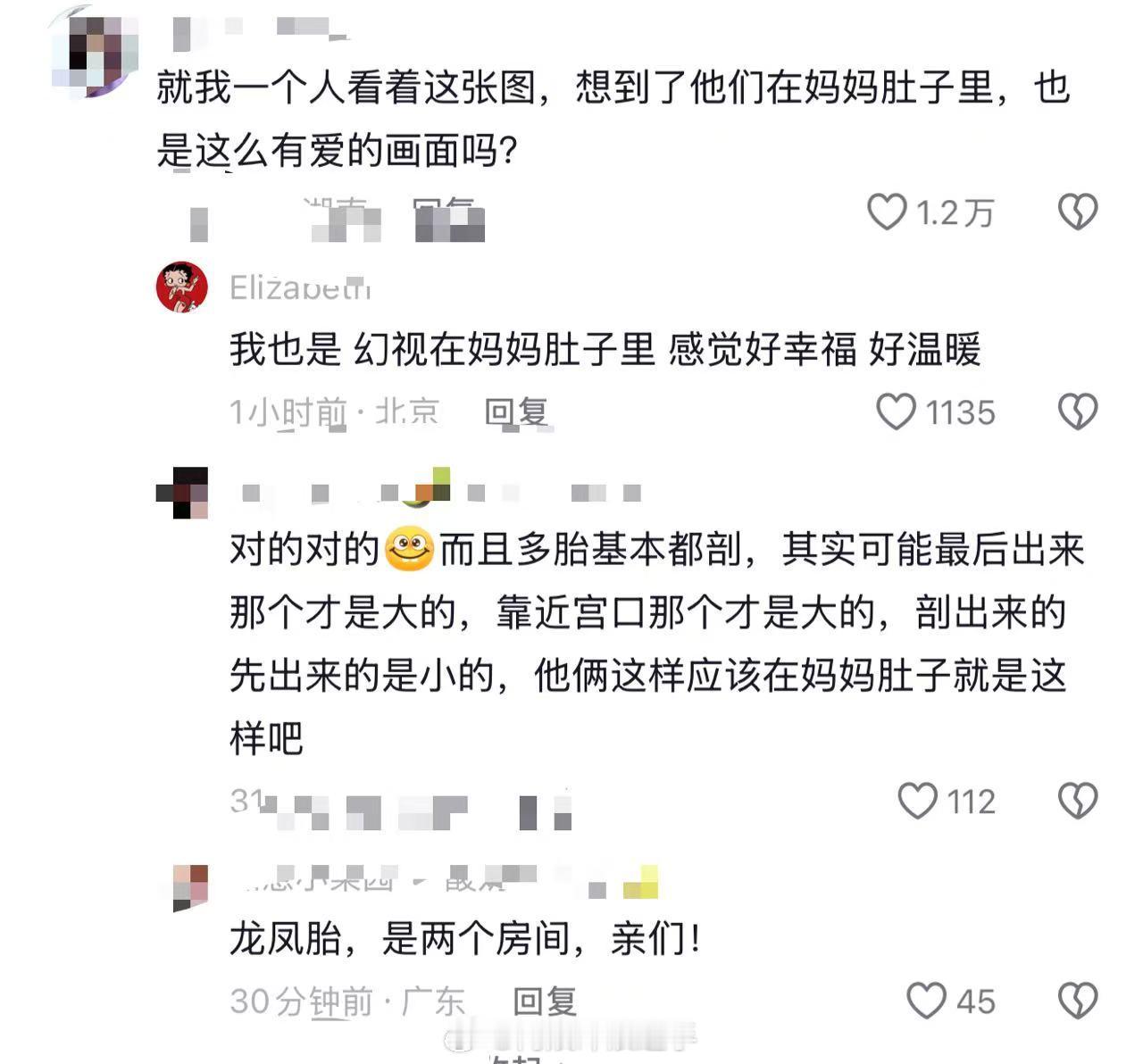 井胧井迪海报幻视在妈妈肚子里 井胧井迪巡演相拥海报，弟弟背后抱着姐姐，幻视在妈妈