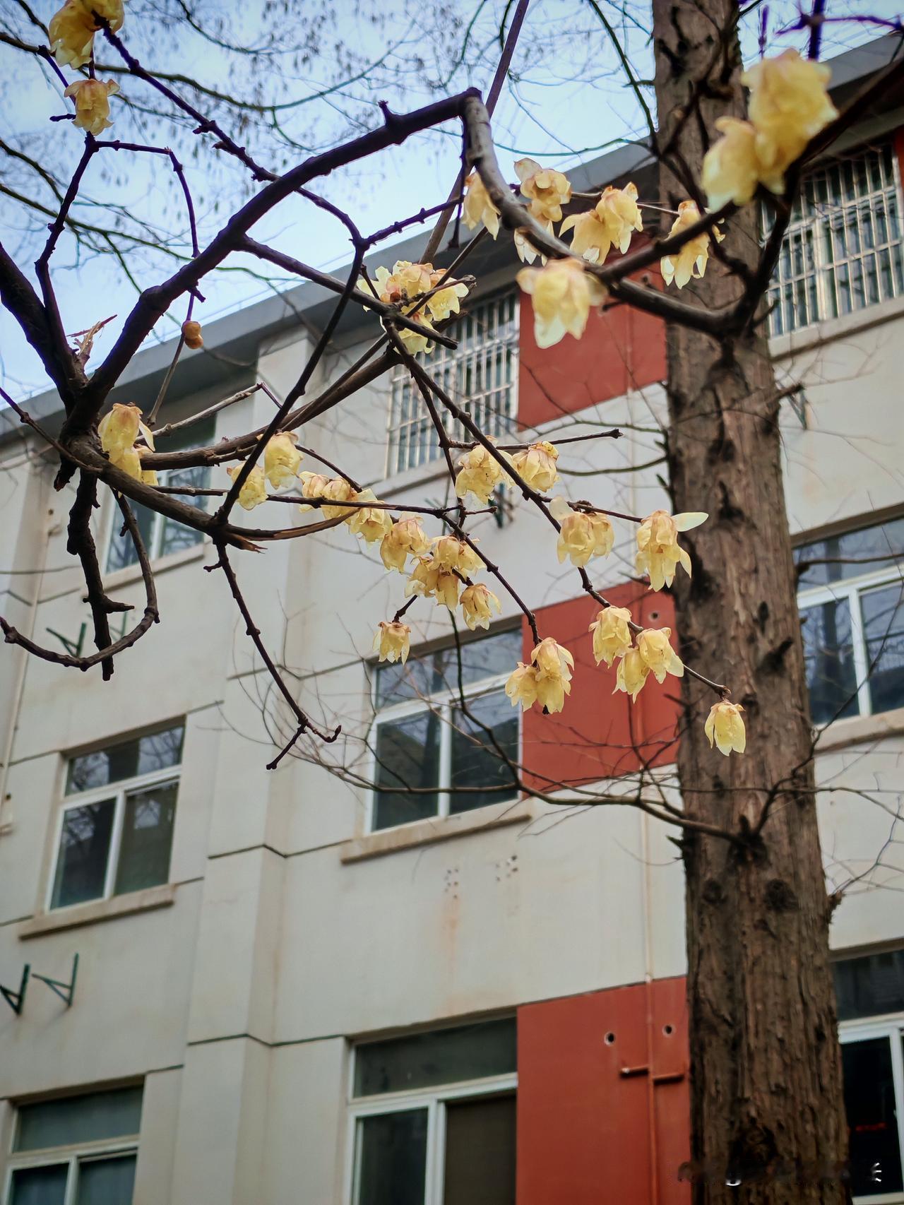 我们老了,没存下养老钱怎么办? 退休后才懂：钱，真的能决定晚年的快乐
人到中年，