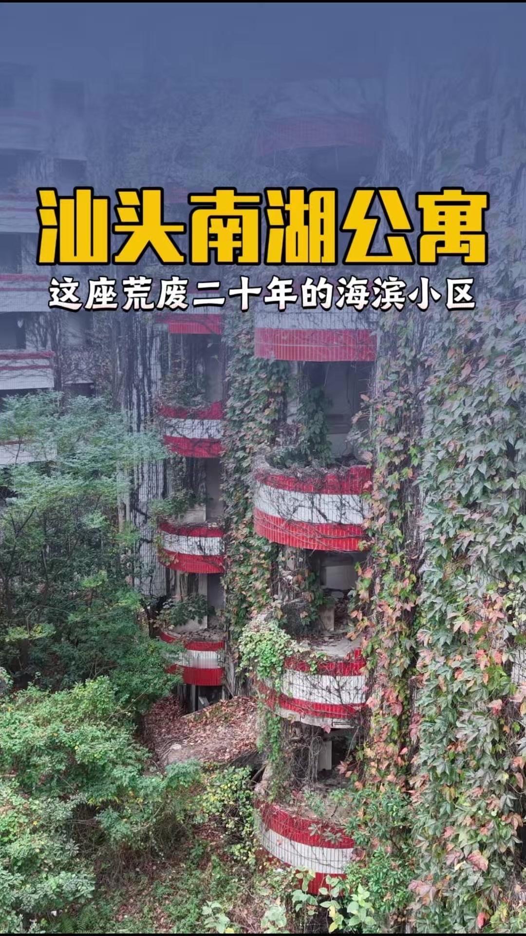眼前这座荒废20年的海滨小区，宛如一艘绿潮汹涌的方舟，任由榕树细根织成门帘，藤蔓