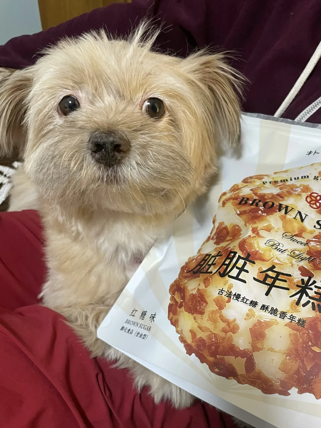 脏脏年糕