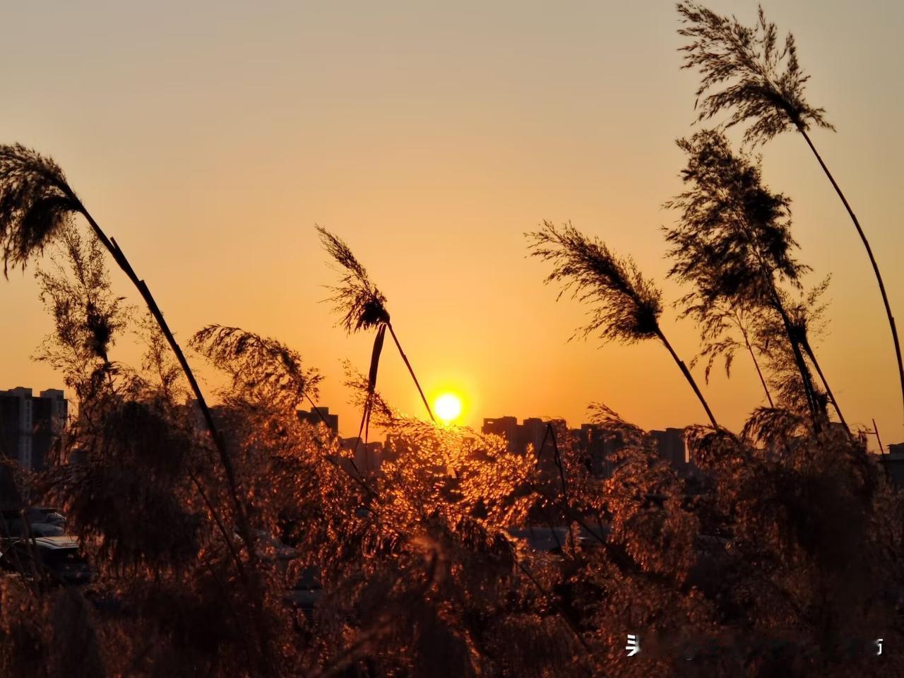 手心里的光
 
用镜头记录生活的美 人到中年，不再追逐远方的耀眼光芒，反而更贪恋