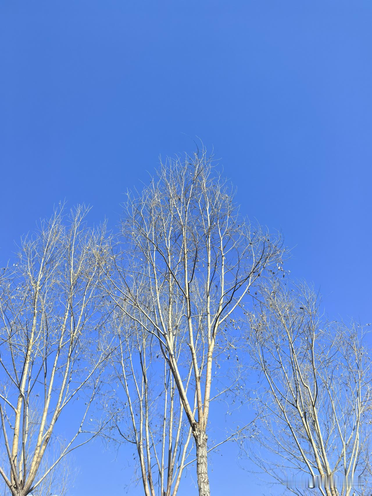 西宁的天，蓝得毫无保留；而风里的冷，却仍如往事般，不肯褪去。