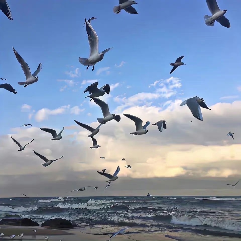 枣枣枣啊朋友们今日甲辰  丙寅  甲子，日课是真的不错，非常喜庆的一个日课，比较