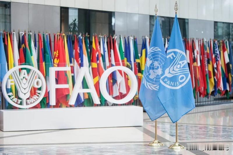 头条   国际

【饥饿警报】联合国粮农组织：伊朗打下去，全球饥饿人口要破3亿多