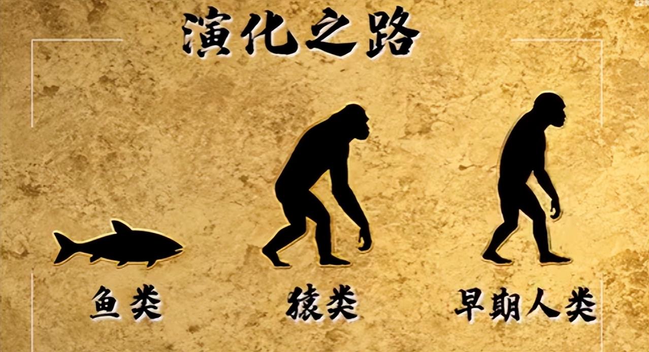 万万没想到，我们从小熟知的人类进化常识，居然一直被大众误解、争论至今！
 
日常