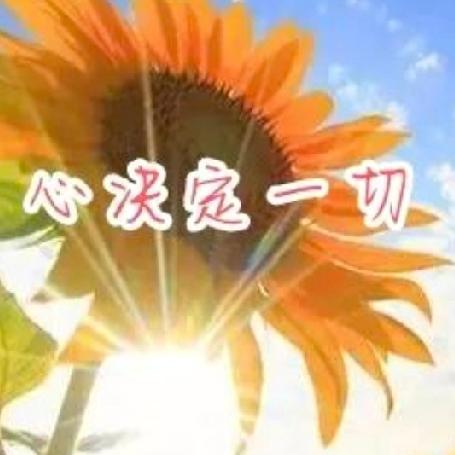 我没有“抗癌”，也没有“斗”的意识。✨✨
【中晚期卵巢癌康复8年/分享】
因为我