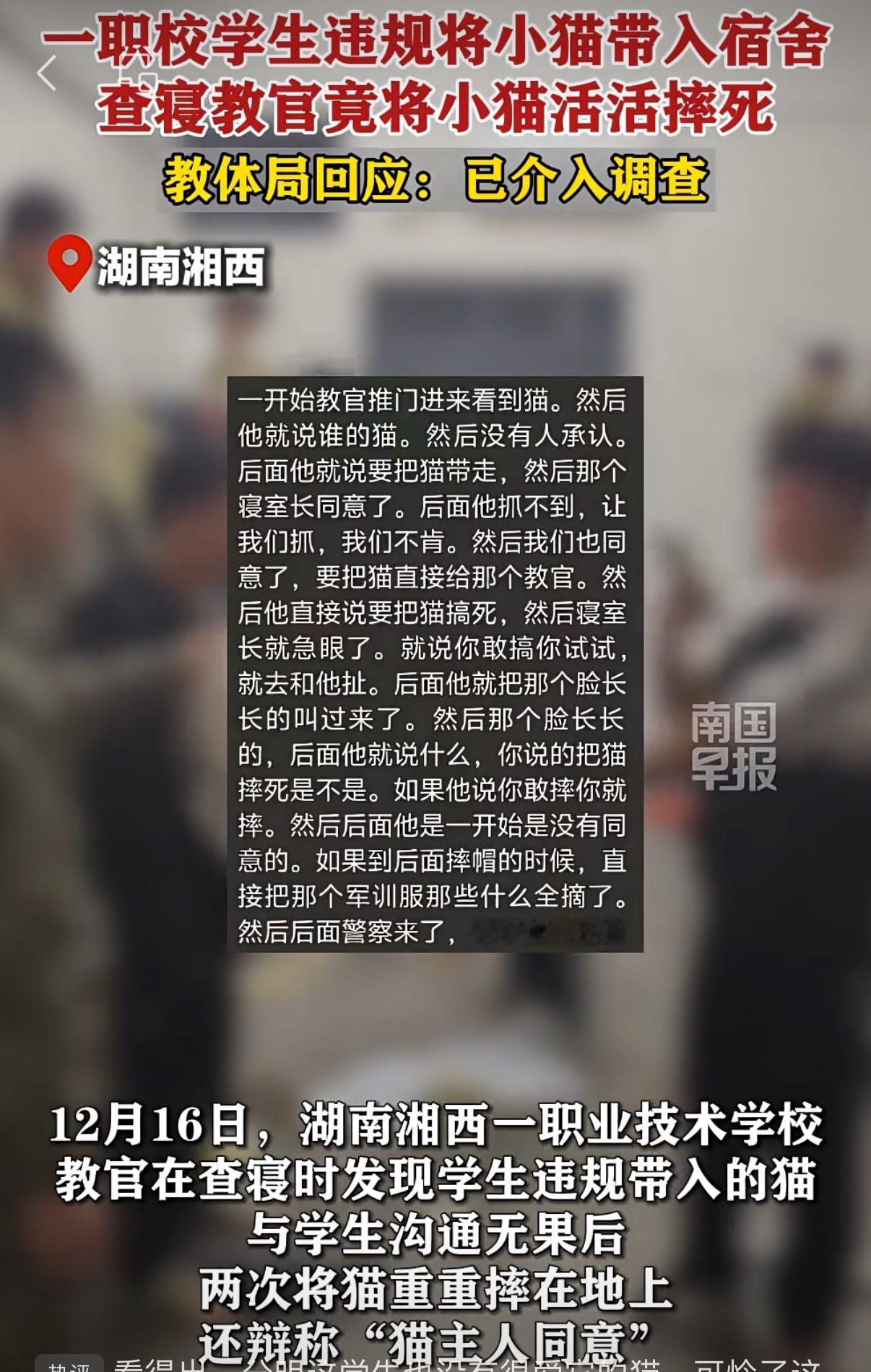 残忍！职校教官查寝，竟当学生面活活摔死幼猫！后续来了，教育局回应
一条鲜活的小生