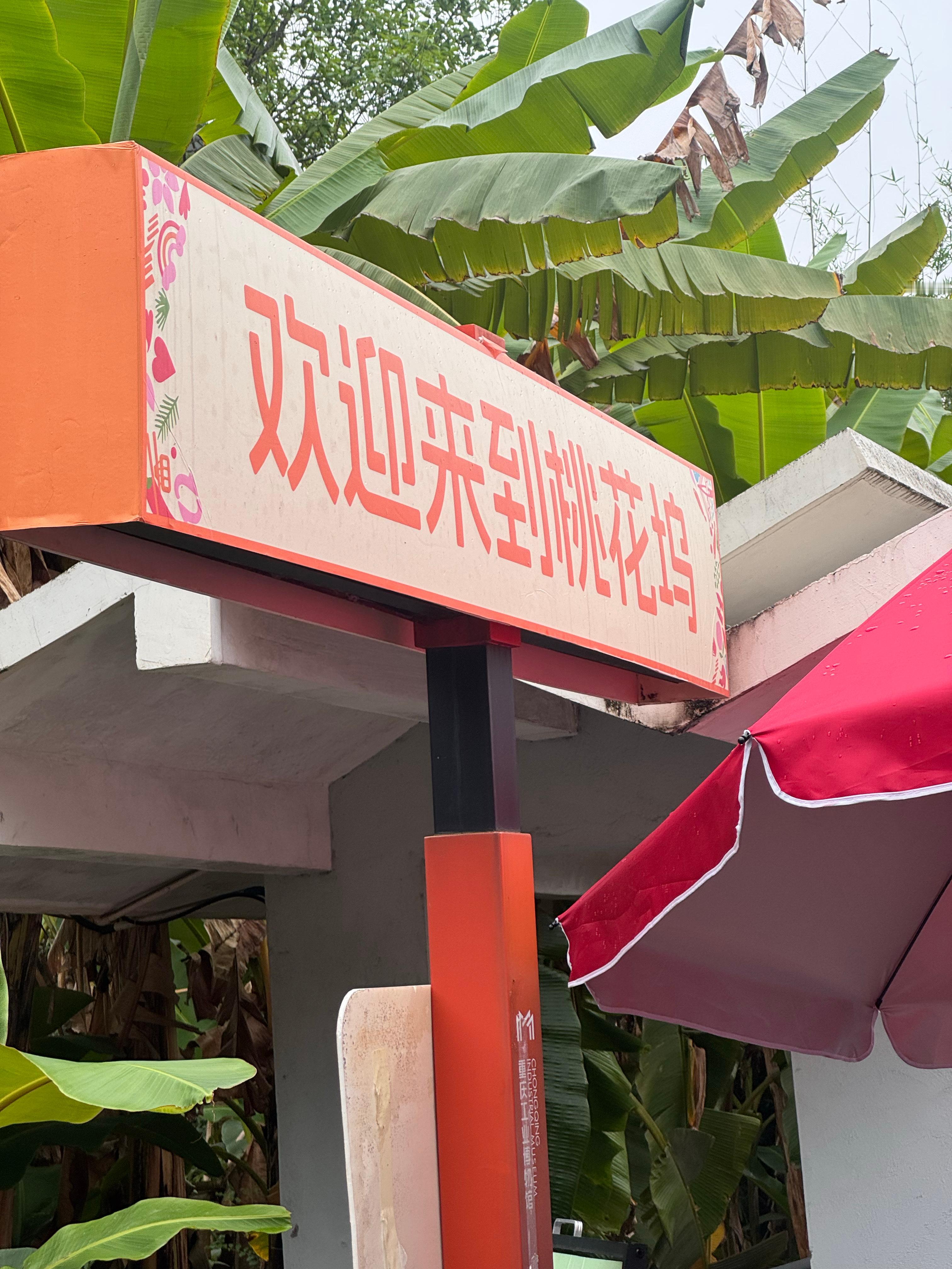 刚发现：伊能静、庾澄庆、恩利、秦昊，都有综艺在播（要播）！！！哈哈哈 伊能静 娱