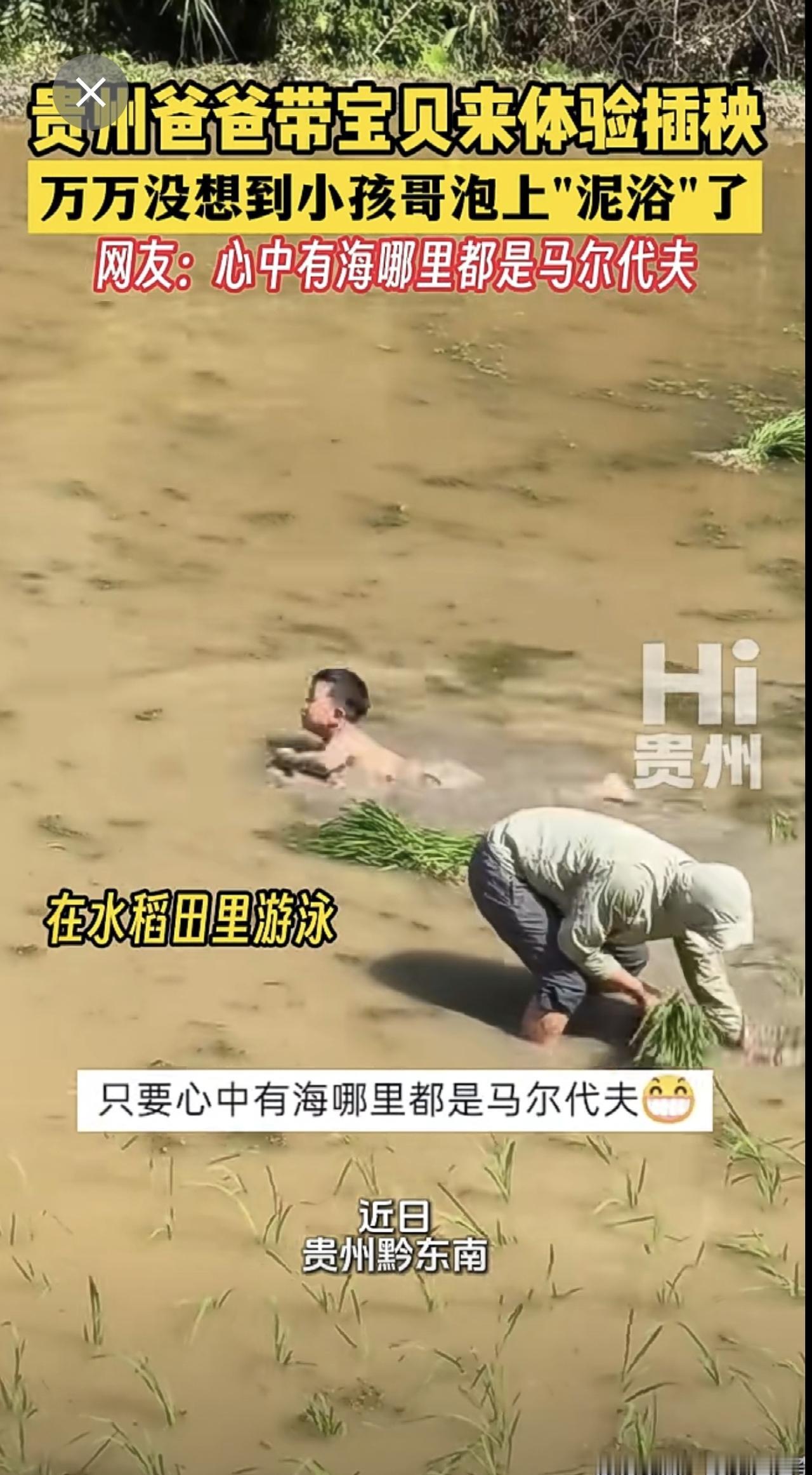 贵州爸爸带宝贝来体验插秧 万万没想到小孩哥泡上"泥浴"了，网友：心中有海哪里都是