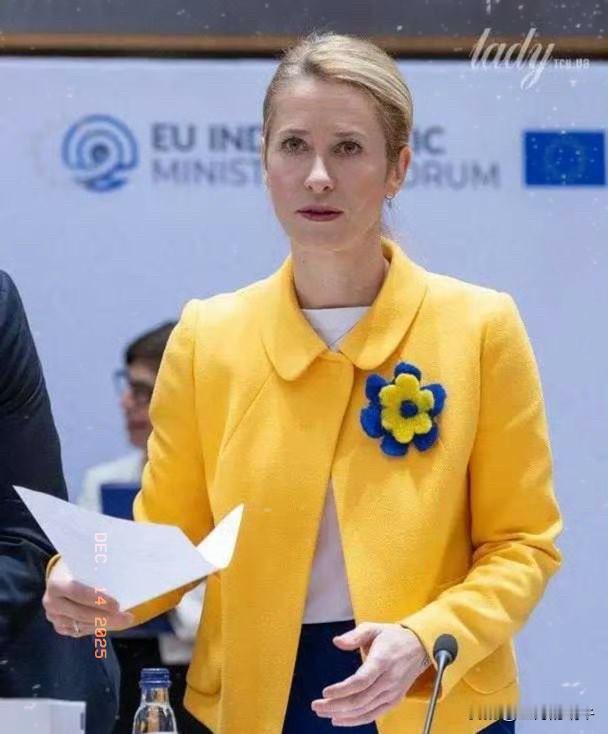 如何挪用俄罗斯被冻结资产，欧洲内部不停地开会，却绞尽脑汁也没想出个好办法。
13