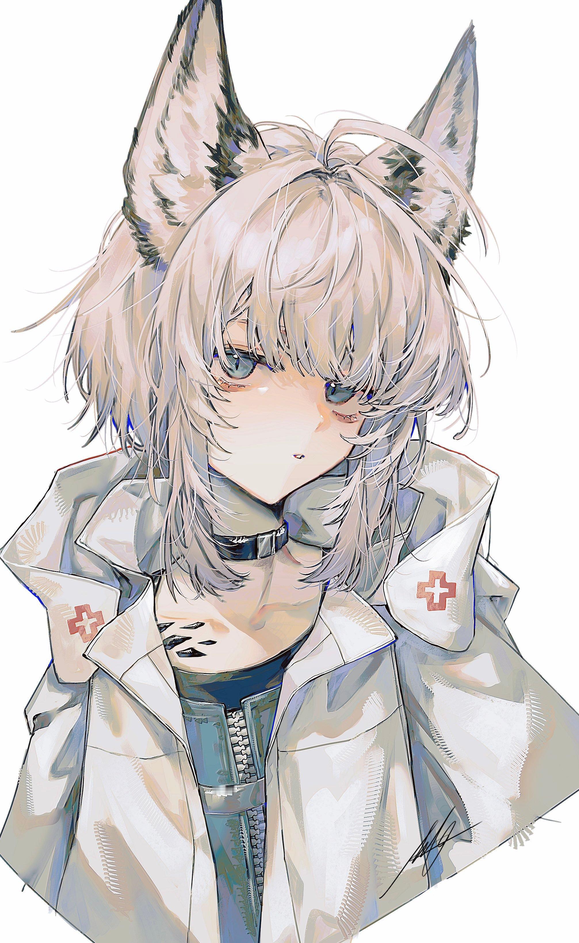 动漫x:Lycos_zzz 
