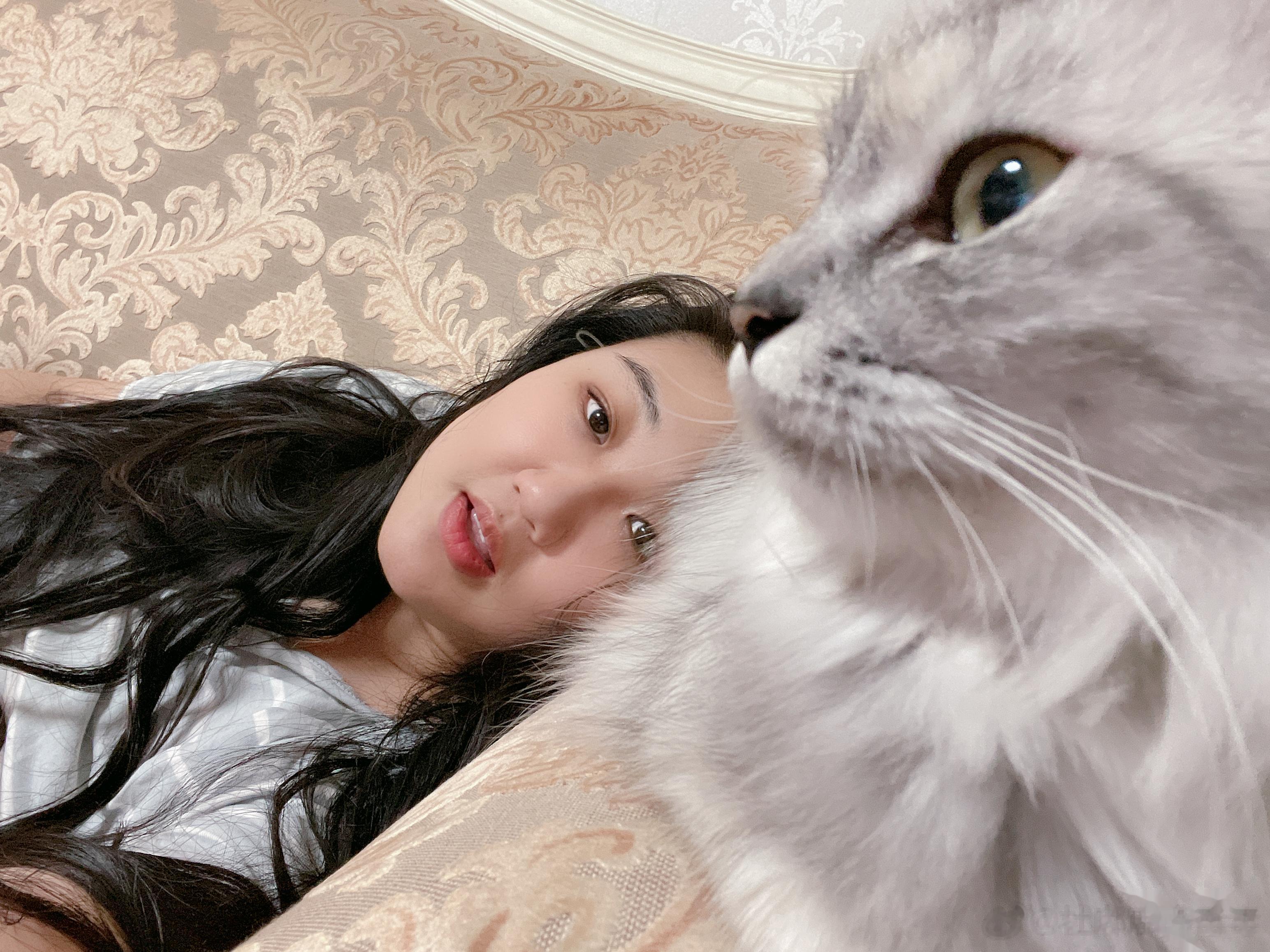 近期有个新番，说一个独居职业女性捡了个猫，越长越大不说，这猫还会打扫卫生，会做饭