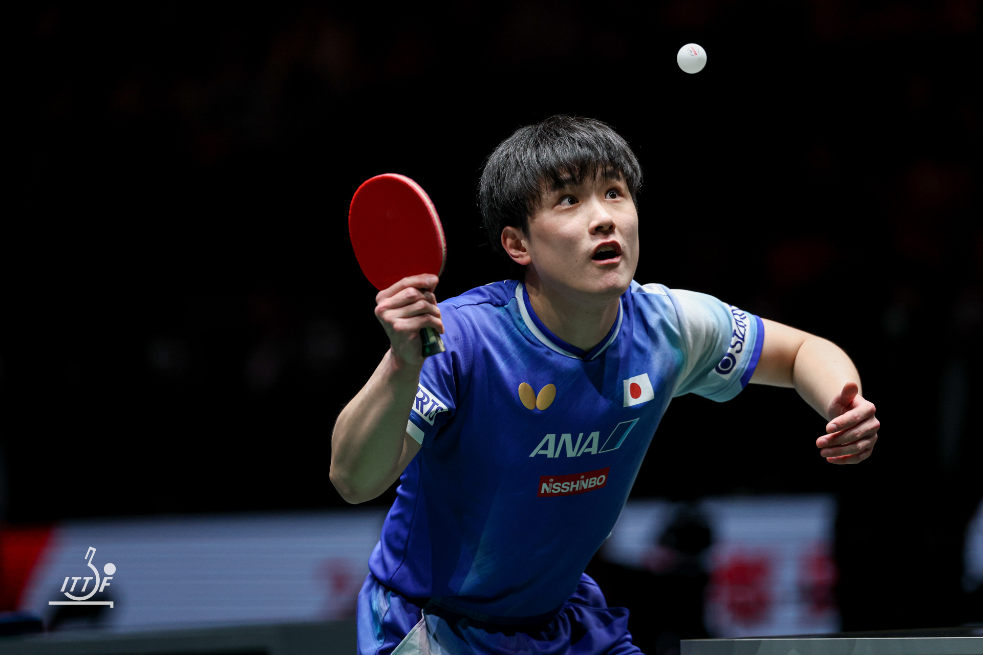 张本智和张本智和2025成都混团世界杯 Day4 第二阶段循环赛 日本VS中国香