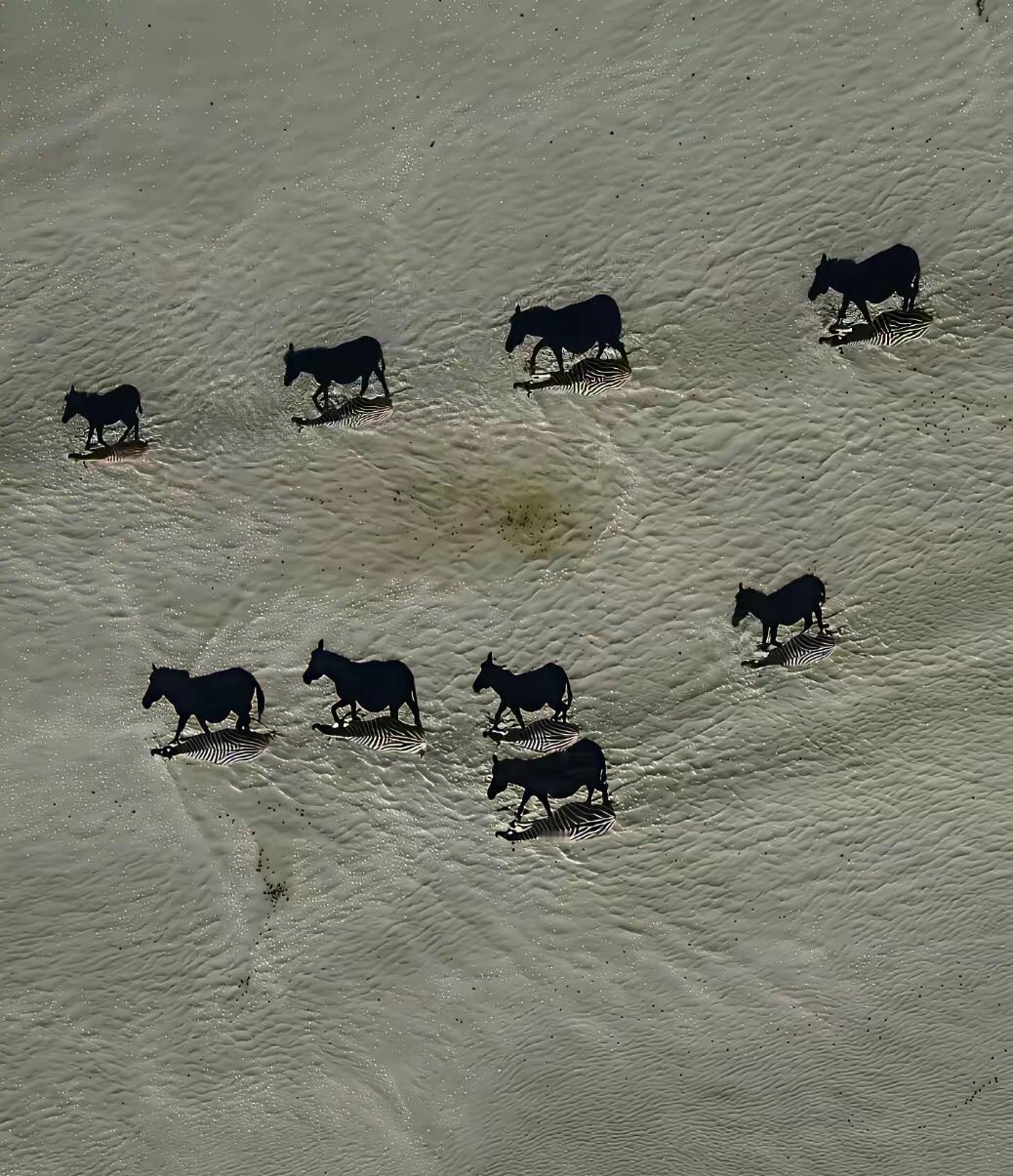 从古至今，人类世界，但凡只要有机会通过暴力抢夺财产给自己瓜分，不用承担法律责任，