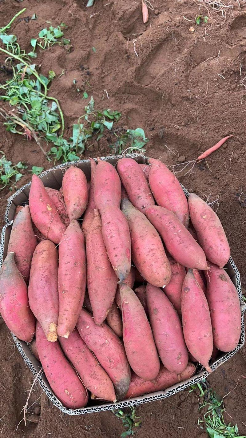 很多人觉得红薯是“糖分炸弹”，升糖快不能吃，尤其是糖尿病患者，直接把它列入“黑名