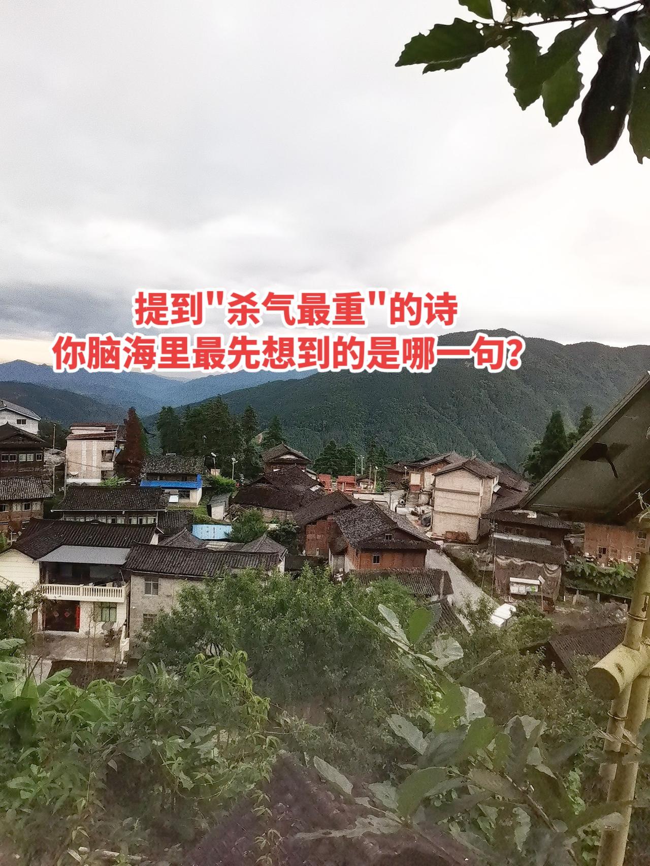 待到秋来九月八，我花开后百花杀。
冲天香阵透长安，满城尽带黄金甲。诗歌 古诗词的
