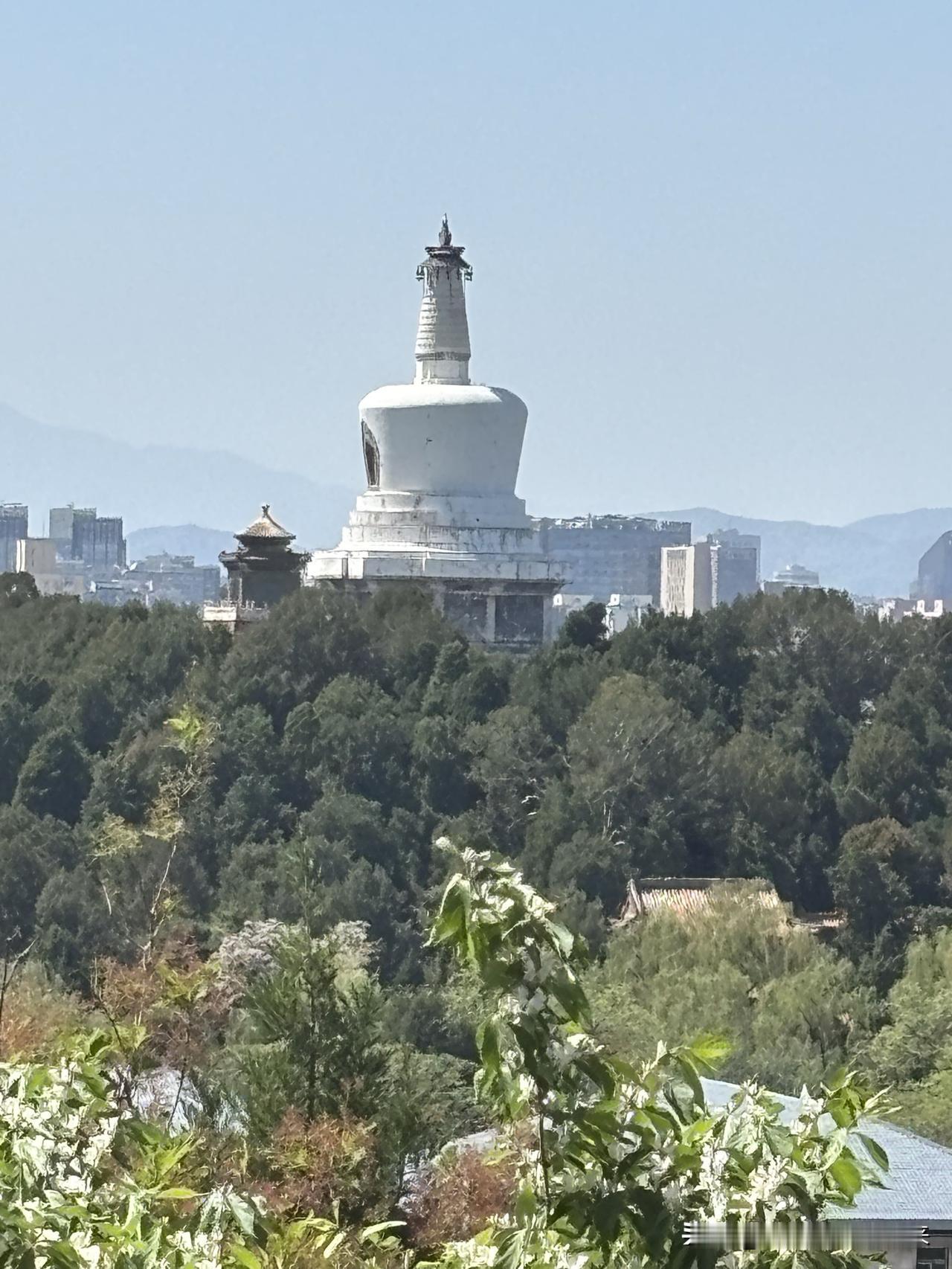 公园里随拍一景