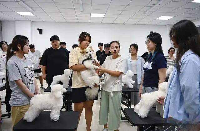 部分高校教学育人搞得一塌糊涂，在培育宠物相关项目上却格外热衷。网传个别高校不但要