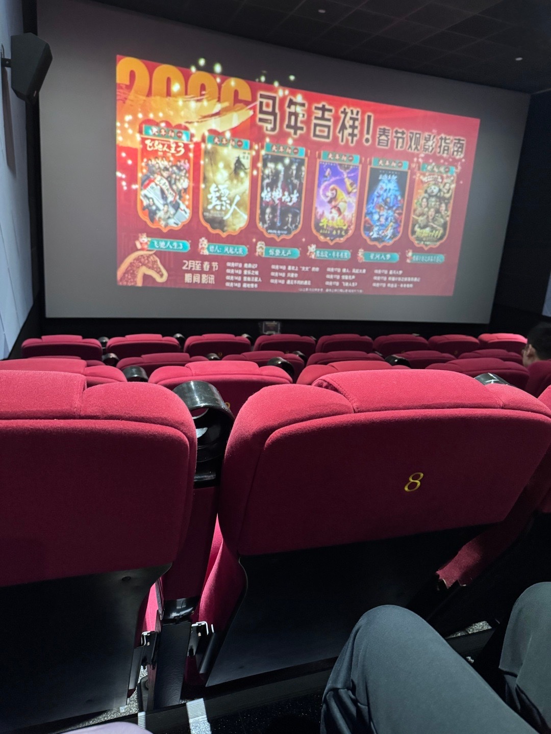 每年大年初一，我和家人都会一起去看贺岁片，今天看了上午场的飞驰人生3 里面有一句