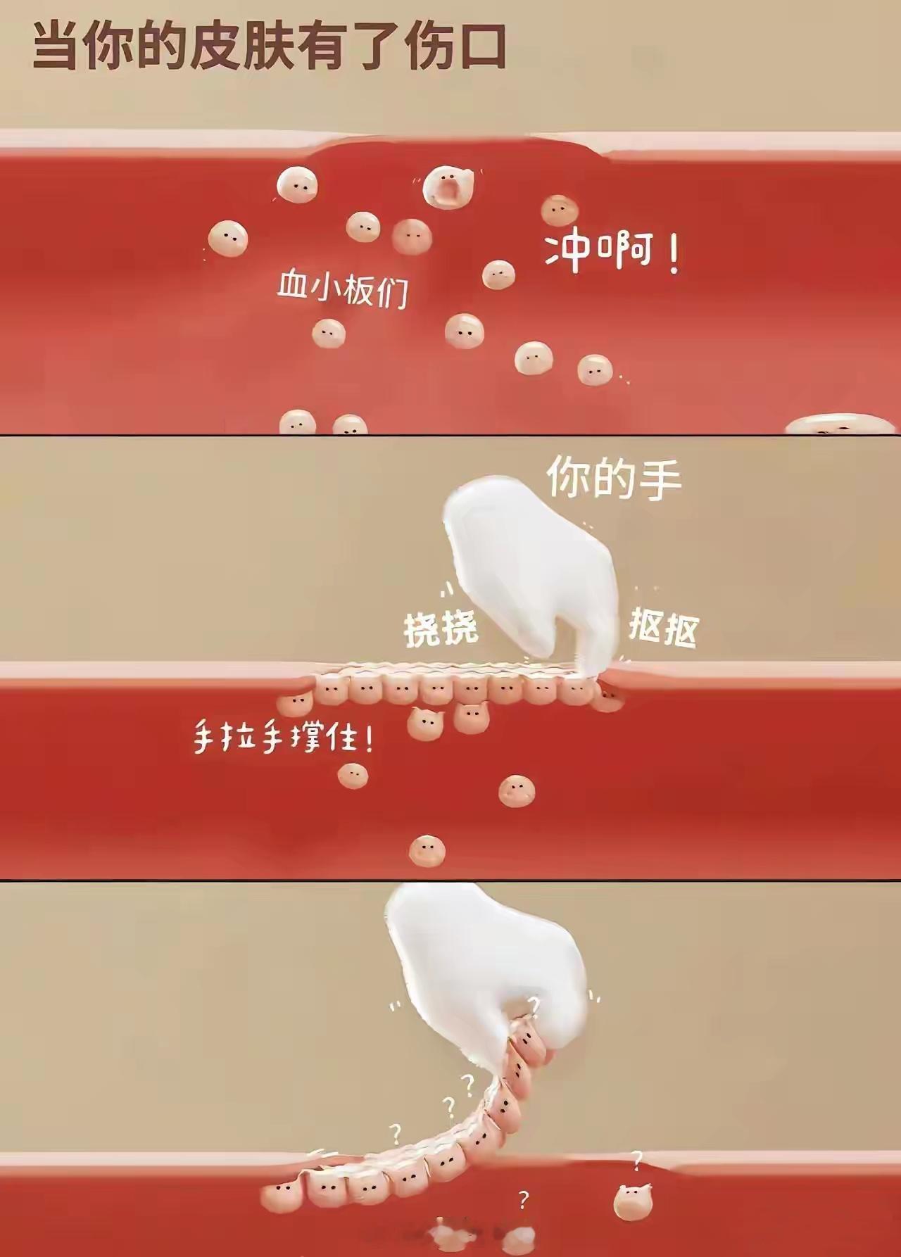我在此宣誓，今后绝不再去扣结痂的伤口。