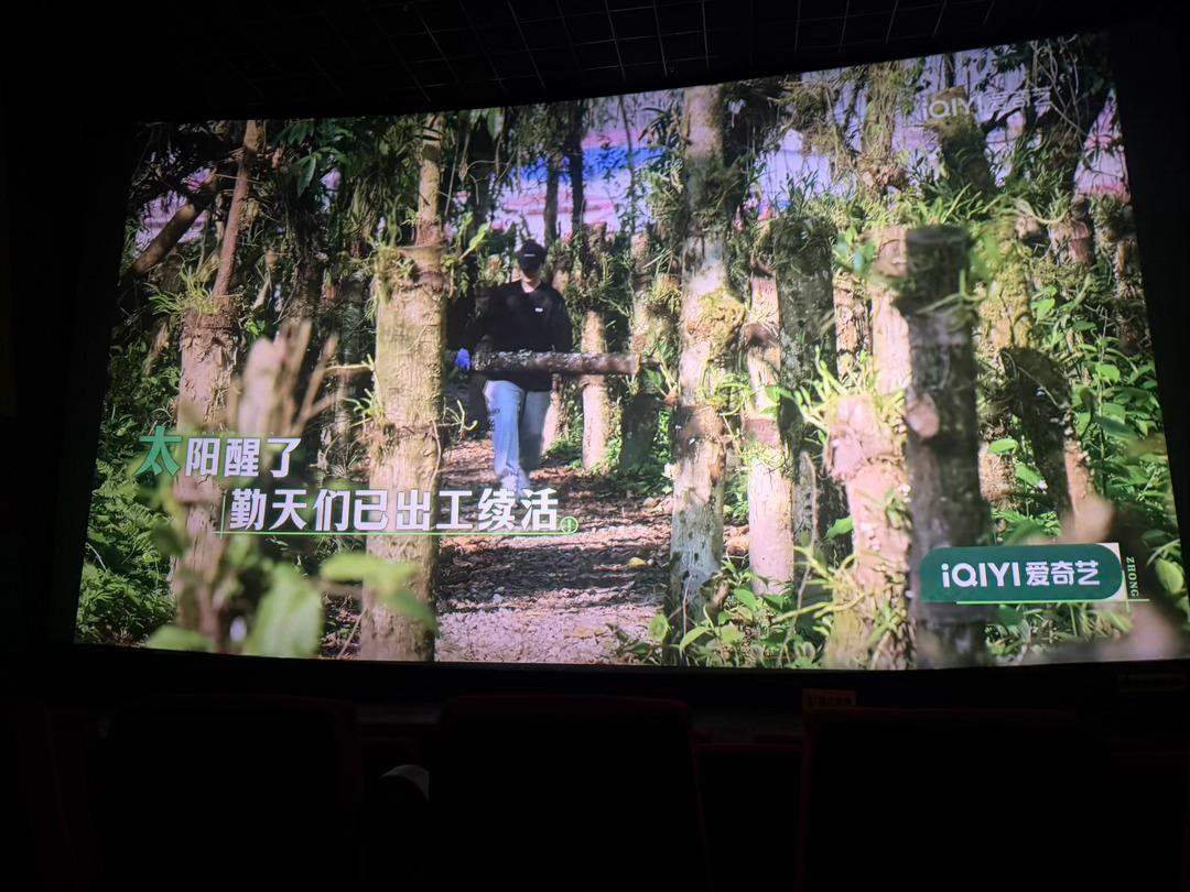 正在悄悄干大事  期待明天嘿嘿