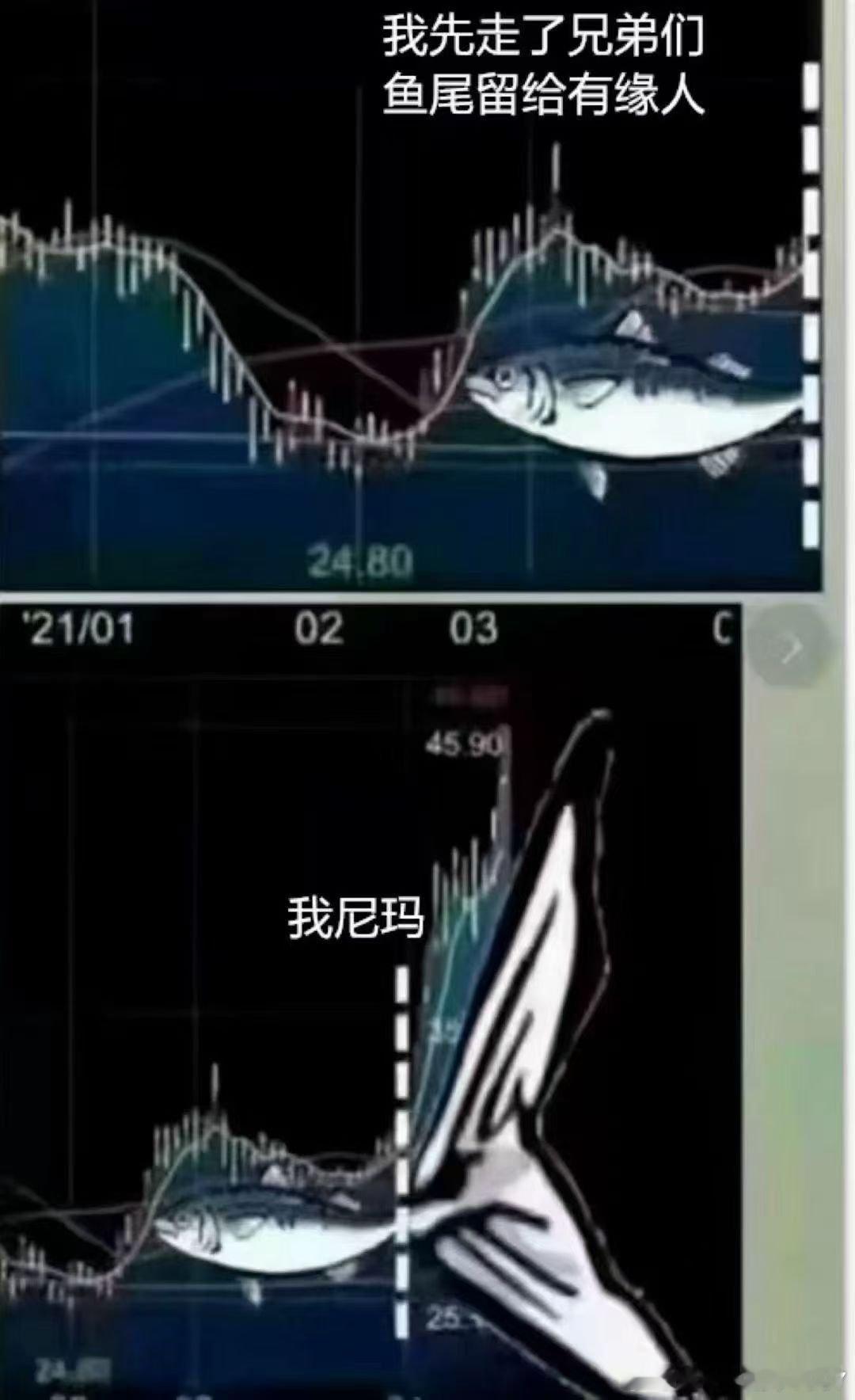 这是什么鱼，尾巴好大 ​​​