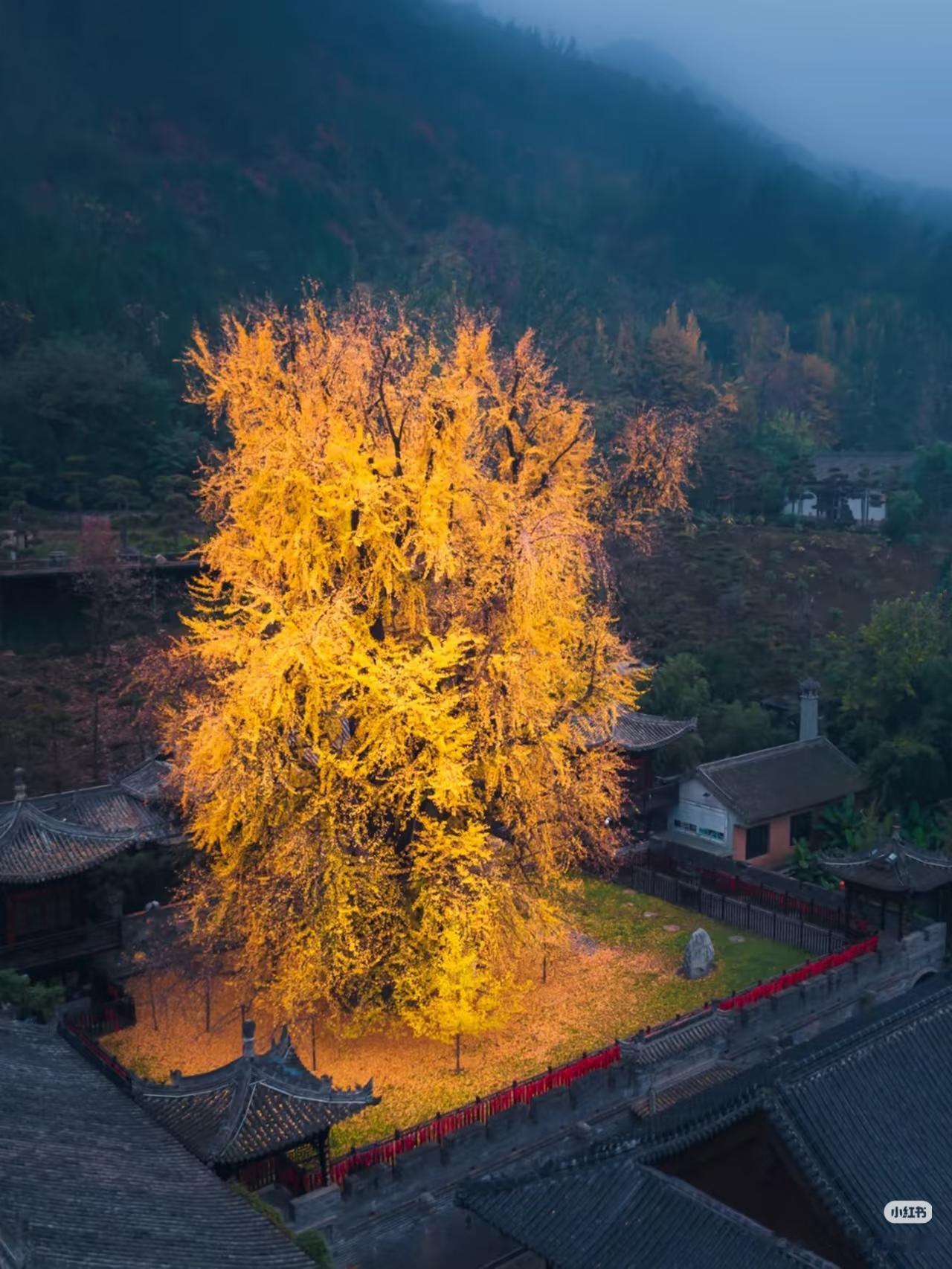 🍁一入秋，西安就成了长安

秋风吹渭水，落叶满长安
一入秋，西安就成了长安
秋