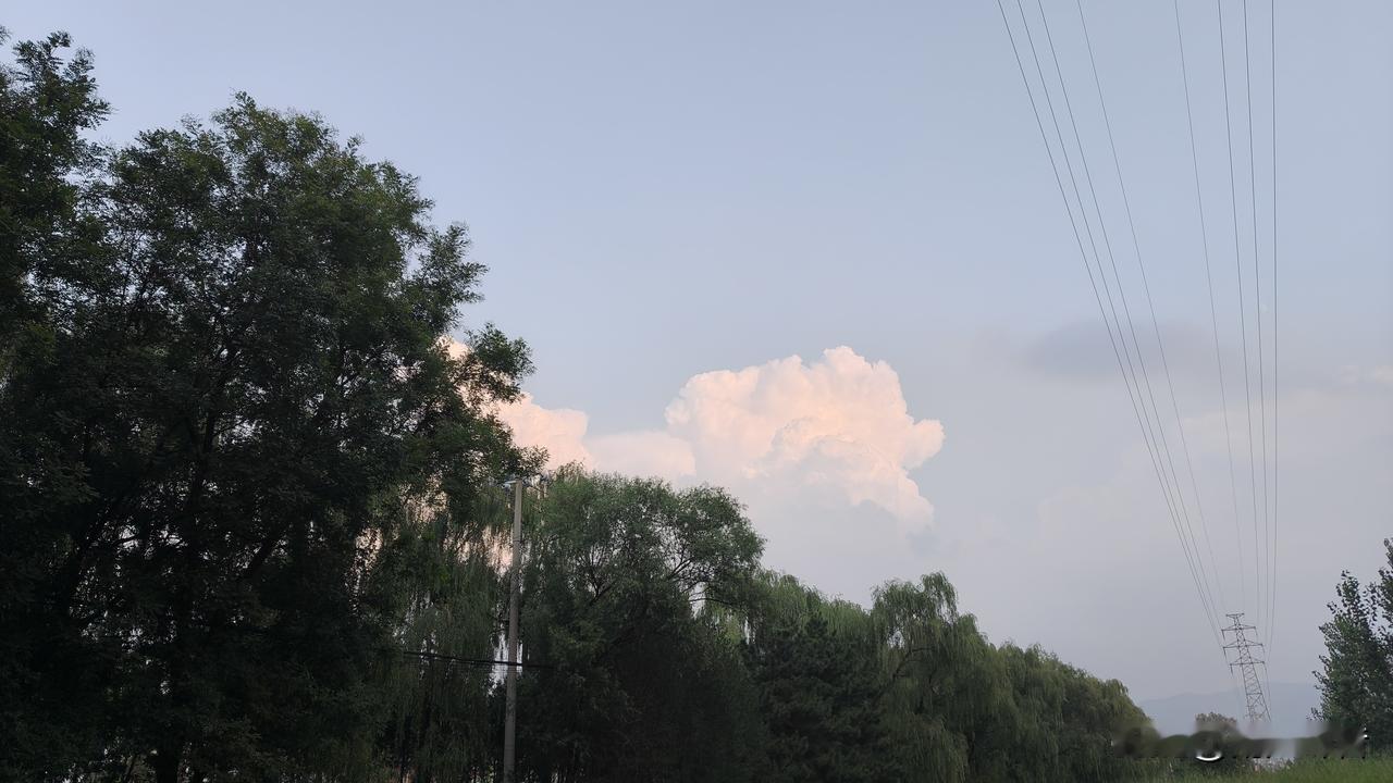 戒掉弱者气息，就这十招:
 
人到中年慢慢醒悟，很多时候困住我们的，从来不是能力