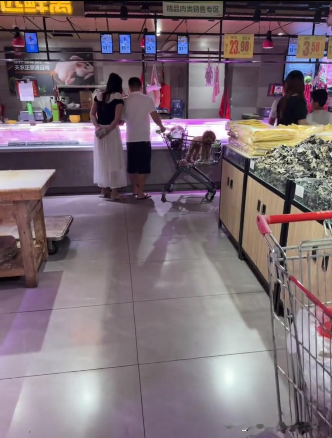 忍不了，这个我真的忍不了！这是广东一名网友在万和超市拍到的一幕，狗上购物车已经泛