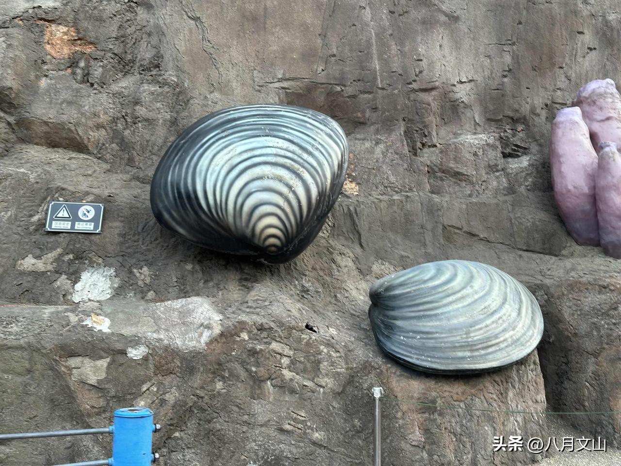 咱们普通人，每天起早贪黑、忙忙碌碌，说到底都是为了挣钱。可很多人走着走着就忘了初