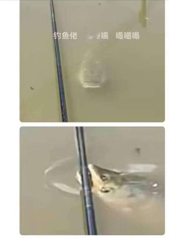 这种直接拿砖头砸