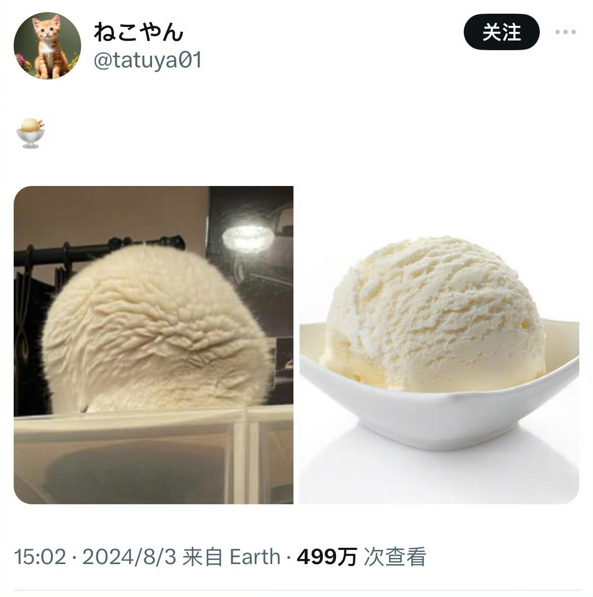 小猫冰淇淋，我👅！ ​​​
