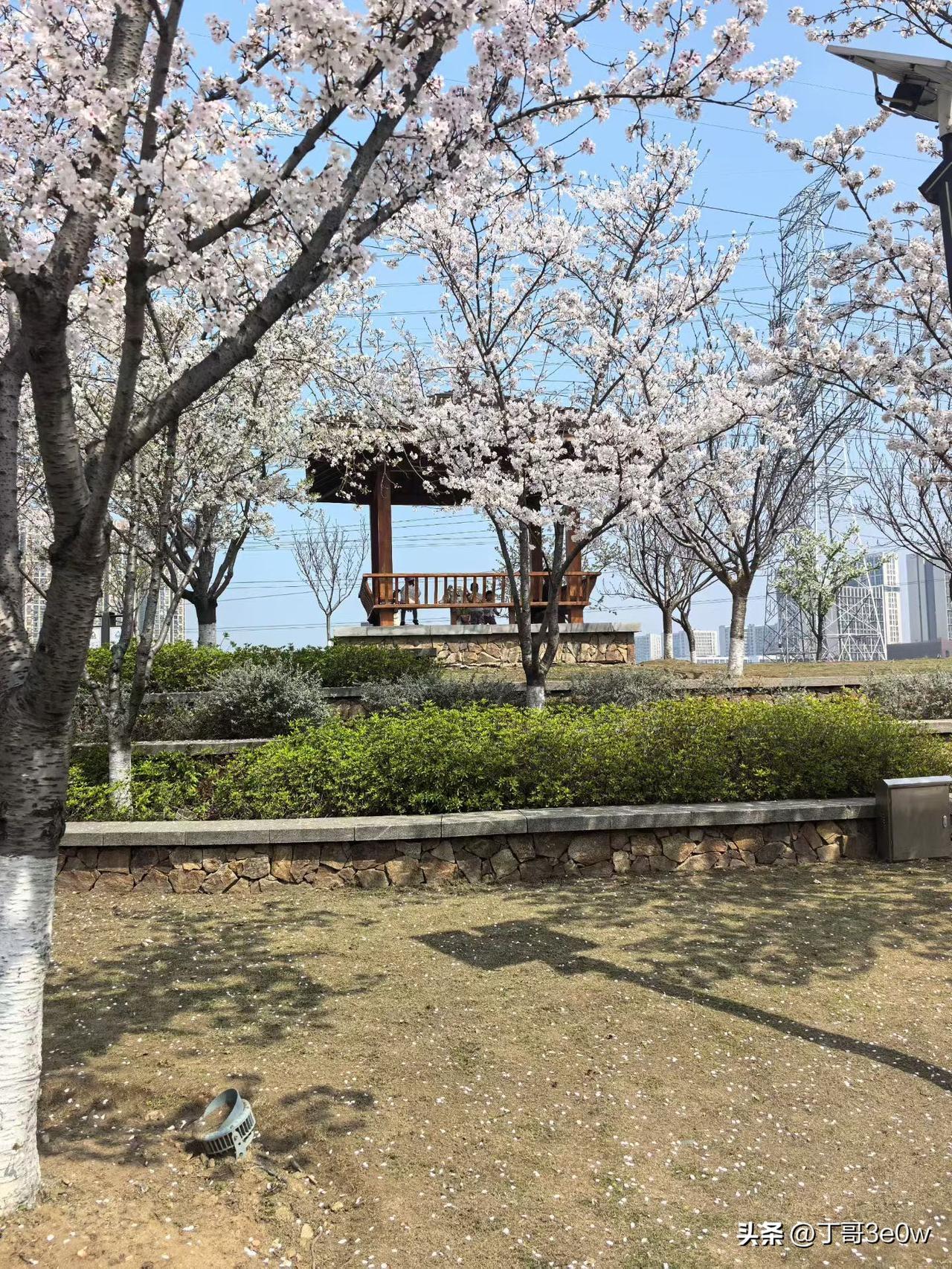 【昨日客流】
3月31日（周二）
武汉城市轨道交通线网客运量（含换乘）为417.