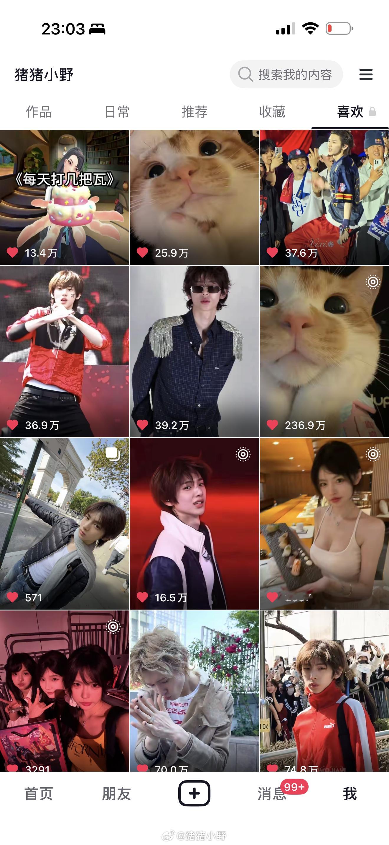 好想去小韩看james 和猪