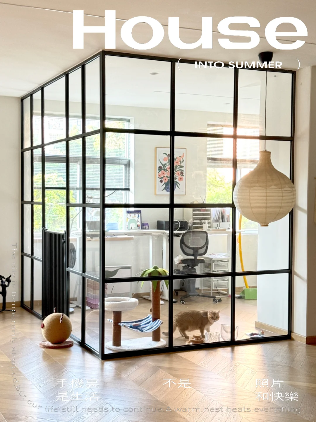 🍃夏日会发光的家|书房（猫房）的光影好美啊