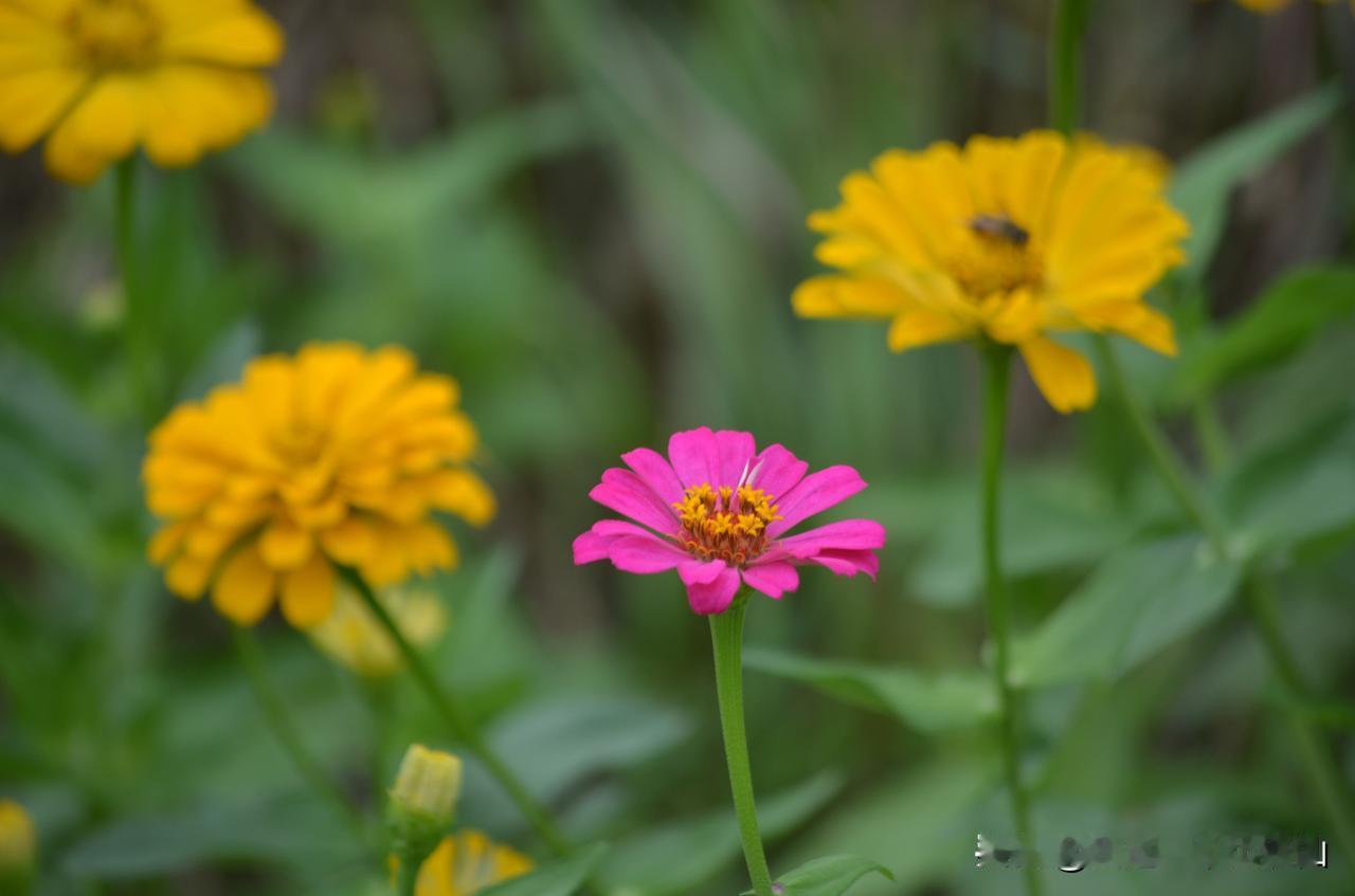 #用一句话说出成年人的心酸#
唉，说什么呢？话到嘴边却无言，什么也不想说了，成年