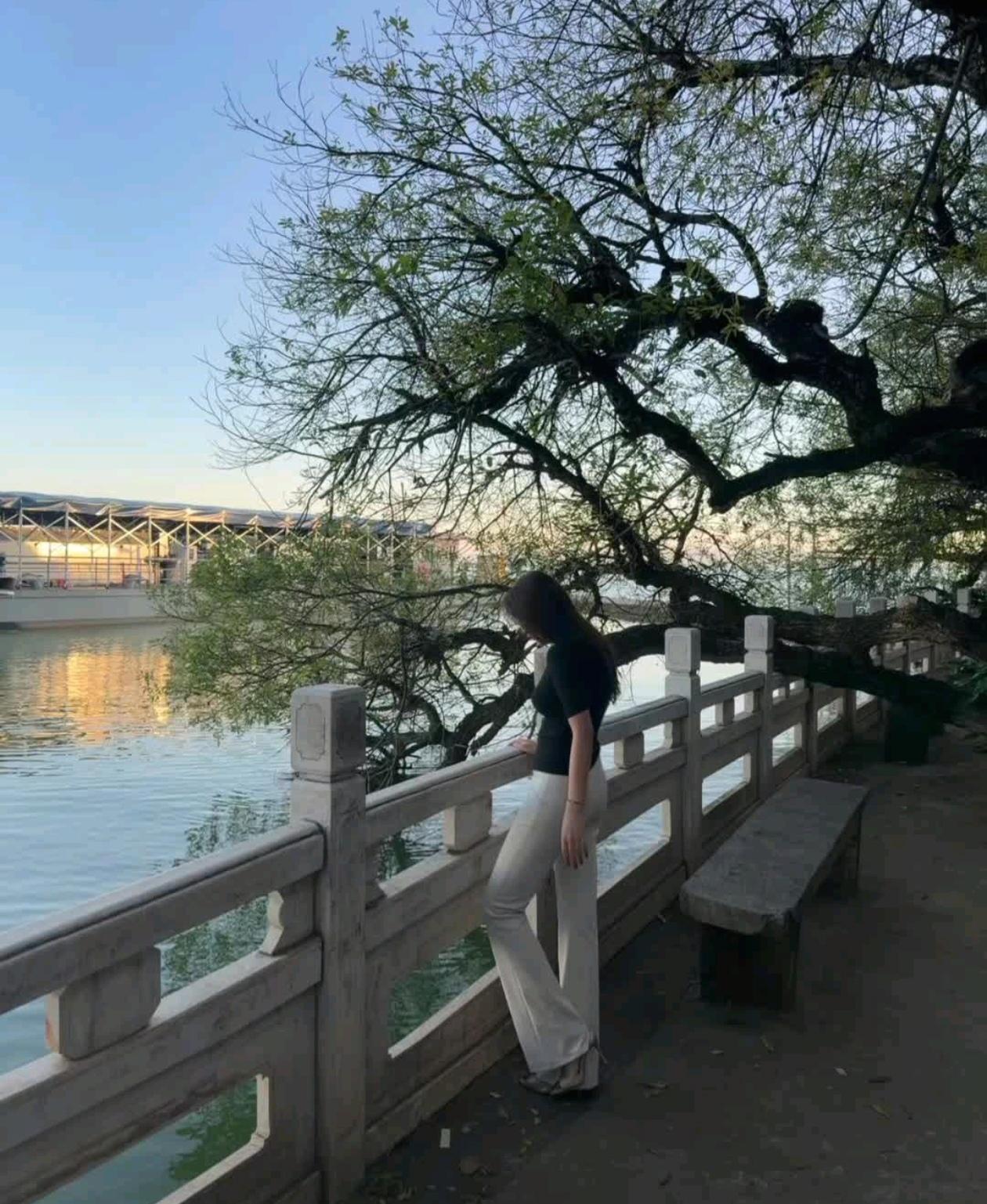 夕阳下的河畔漫步，树影婆娑，静谧美好。