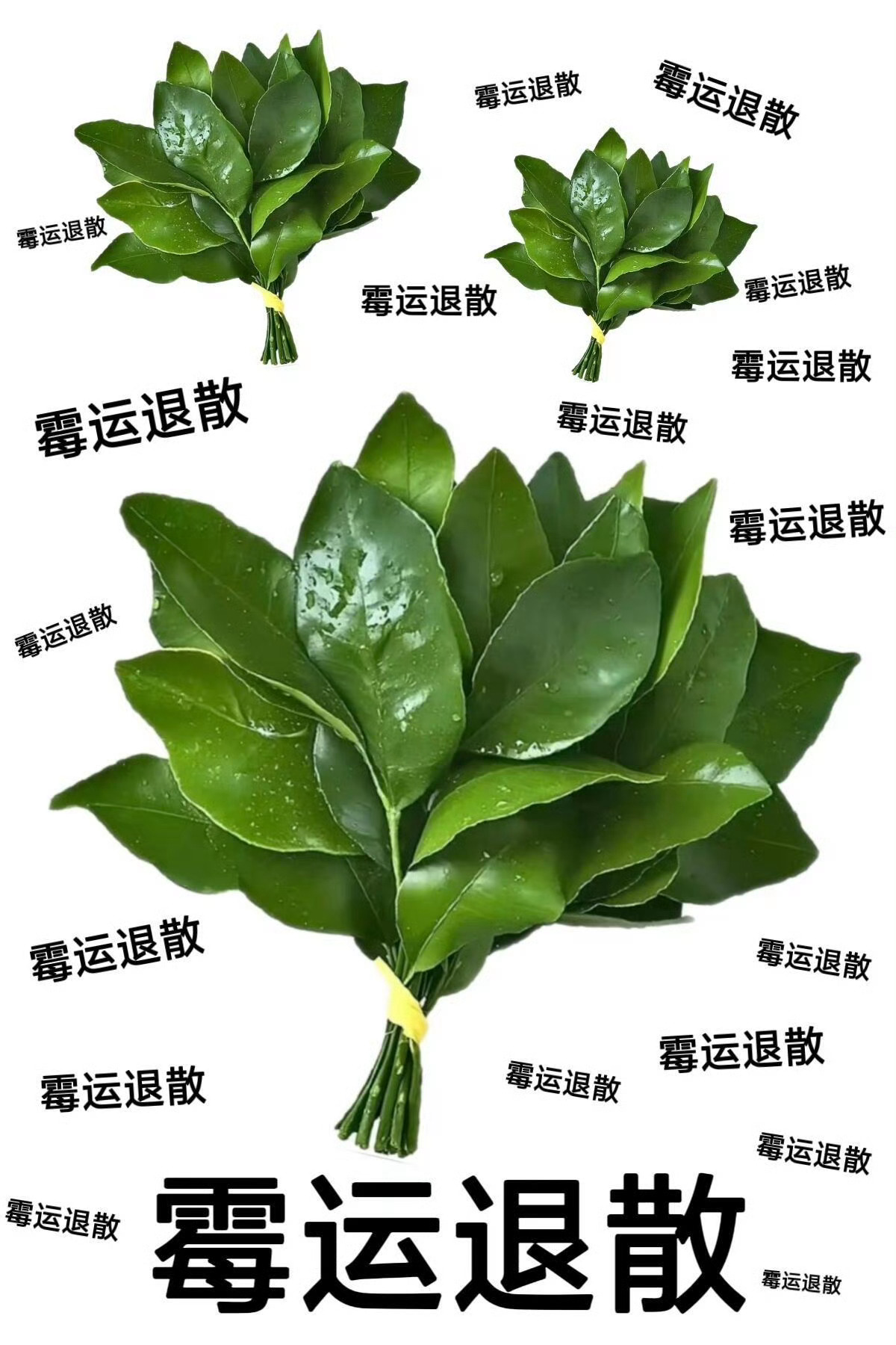 霉运退退退