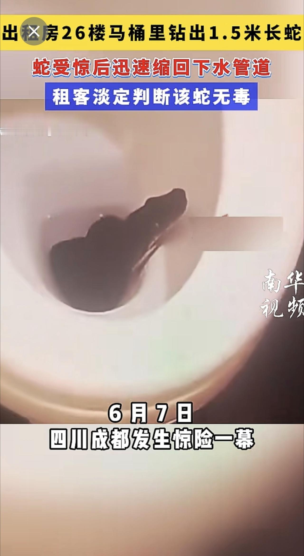 6 月 7 日，四川成都发生惊险一幕。一名住在 26 楼的住户掀开马桶盖时，竟与