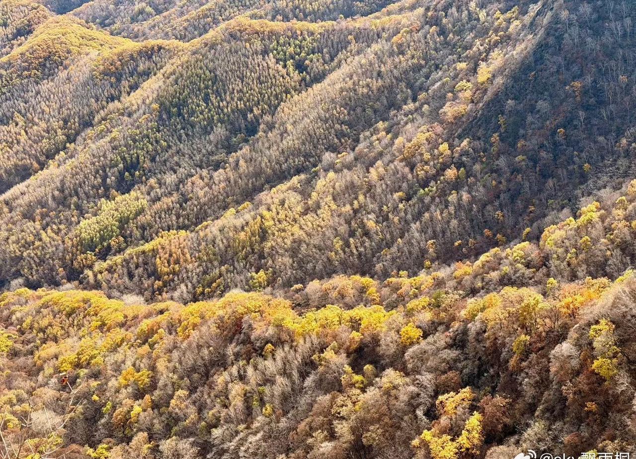 cv天空
亲爱的天空空：
天气有点点暖和，出太阳啦
快来看看，这就是层林尽染～