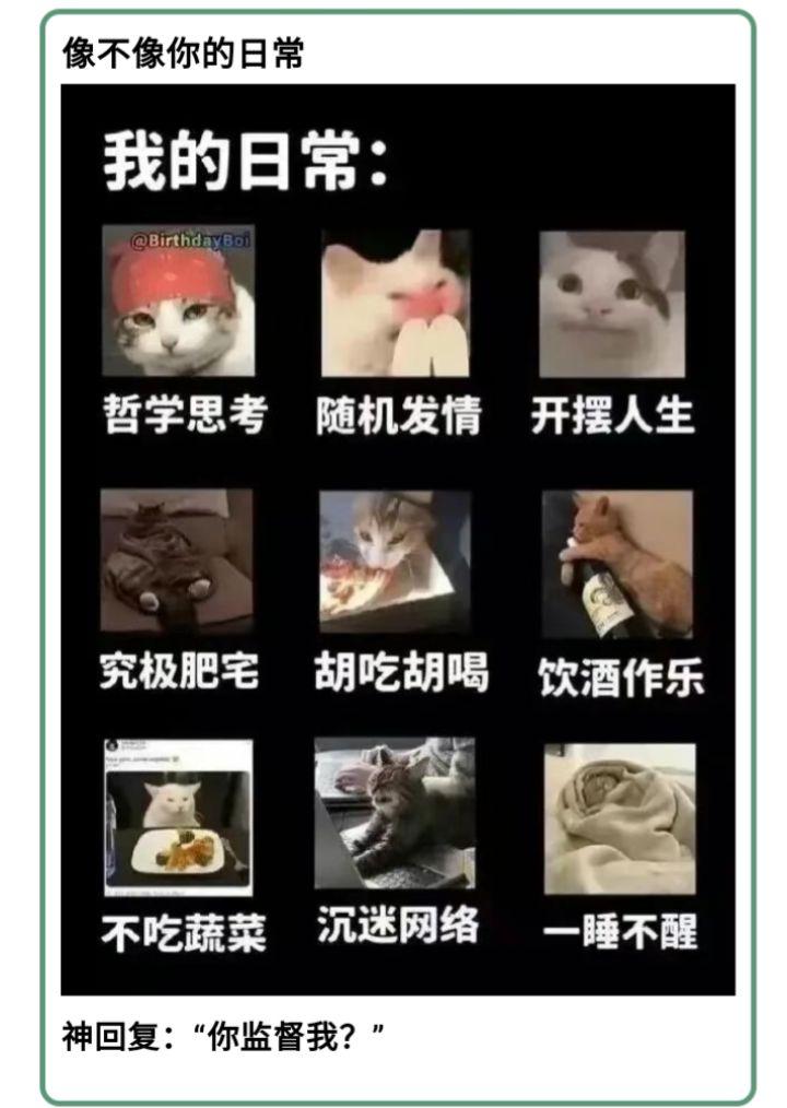 我废了