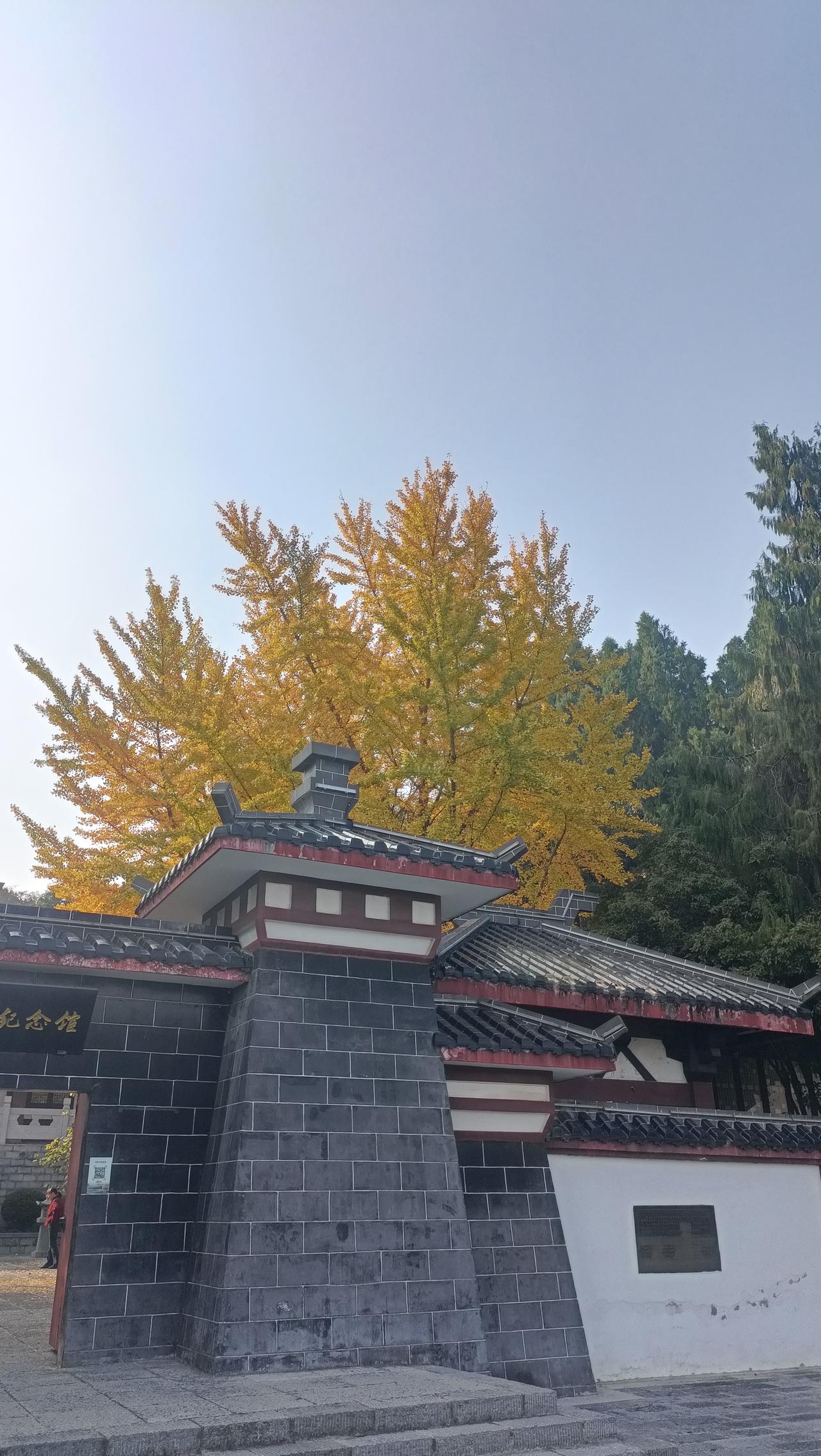 秋天是五彩斑斓的季节
把这个世界染成画
在午后的阳光里
我登上龙泉公园的后山
这