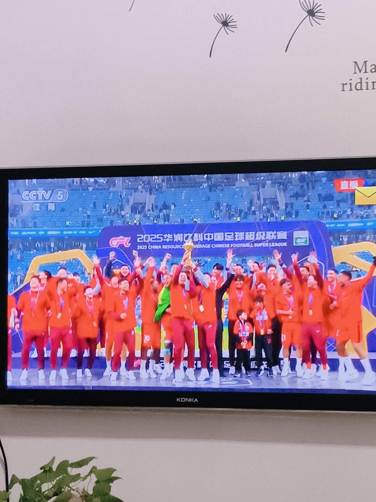 多年不看中国足球了，感觉太累。不说别的话，因为有那么多中国人还要指着足球这行吃饭