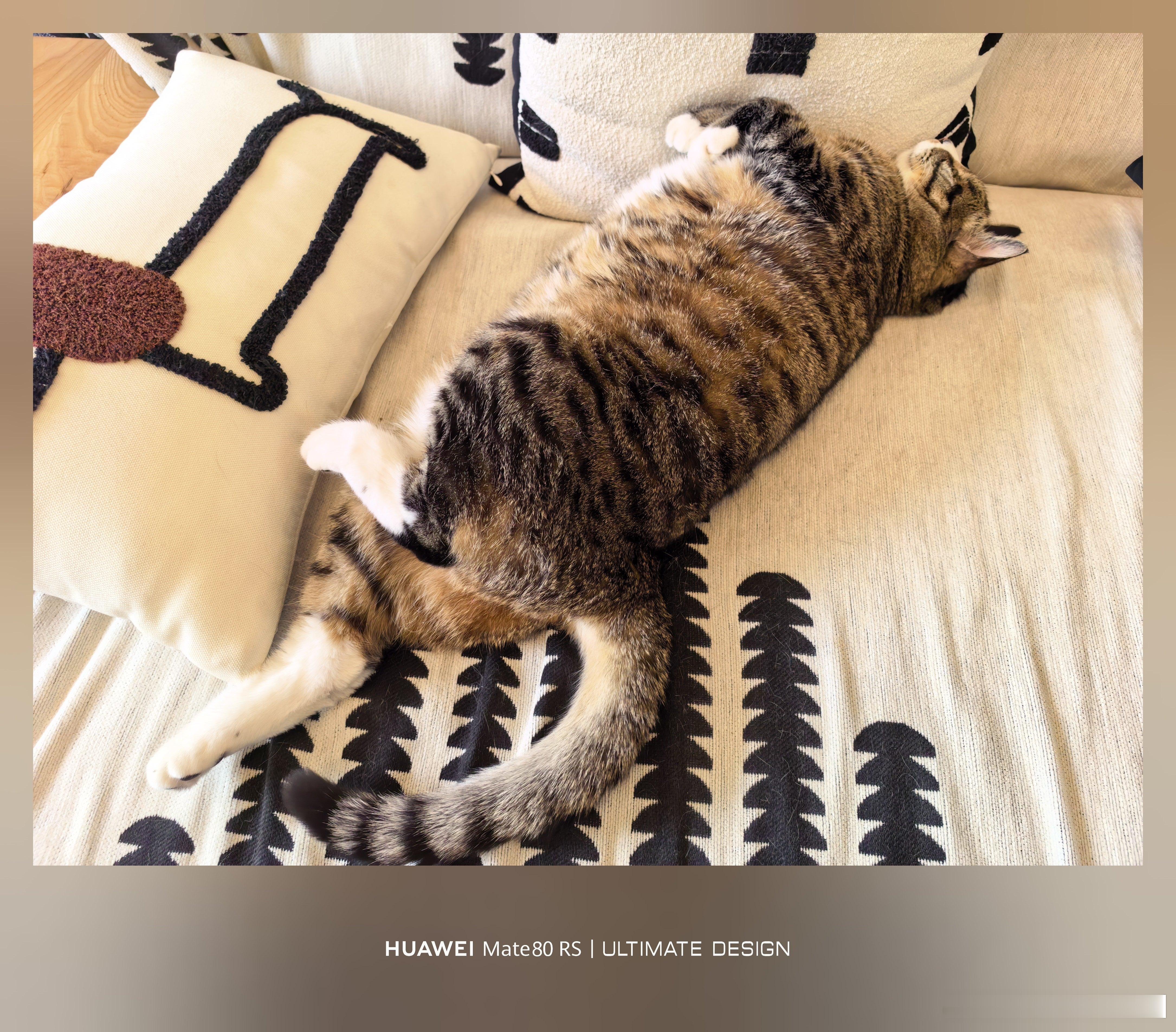 睡个觉，扭得像麻花